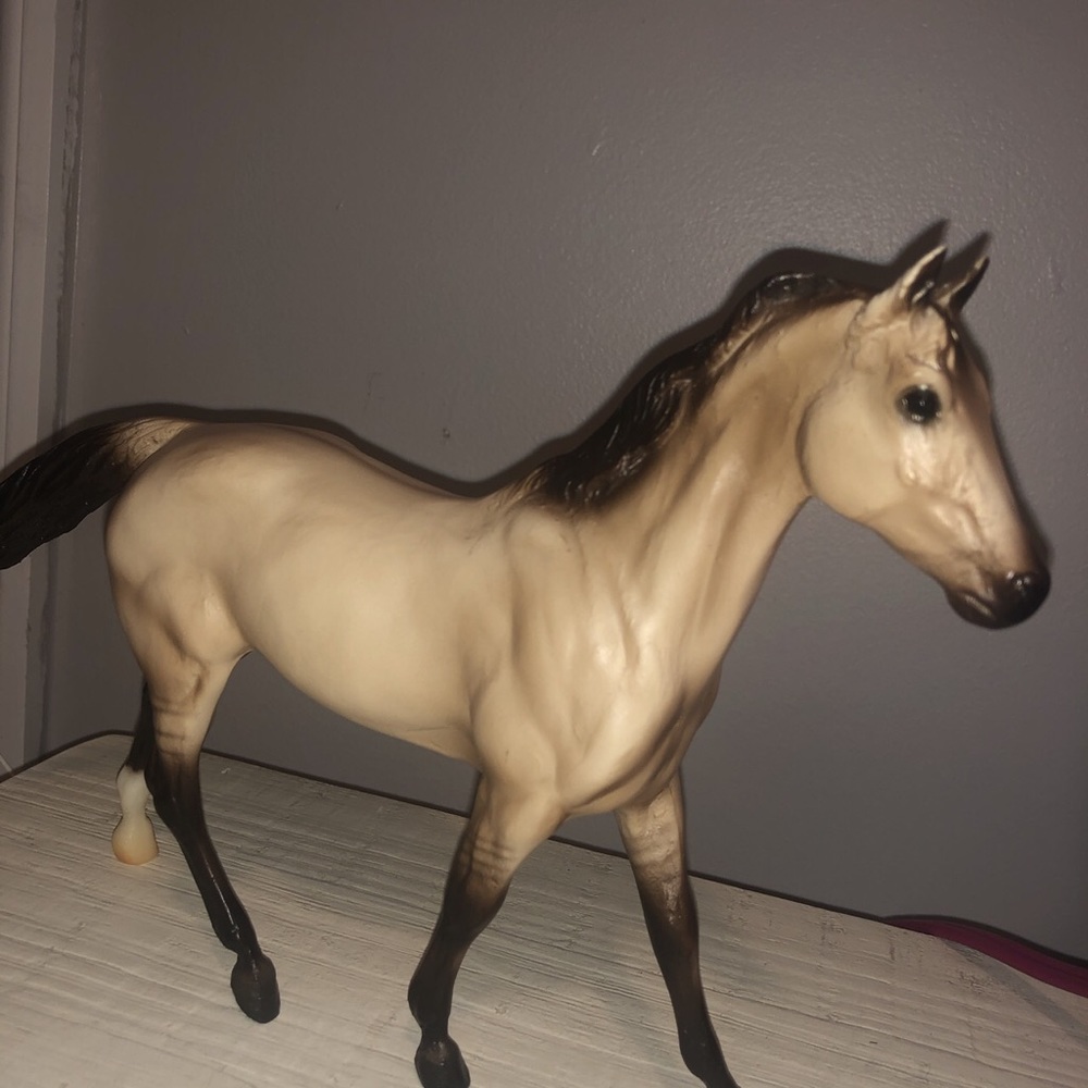Classic Dun Breyer